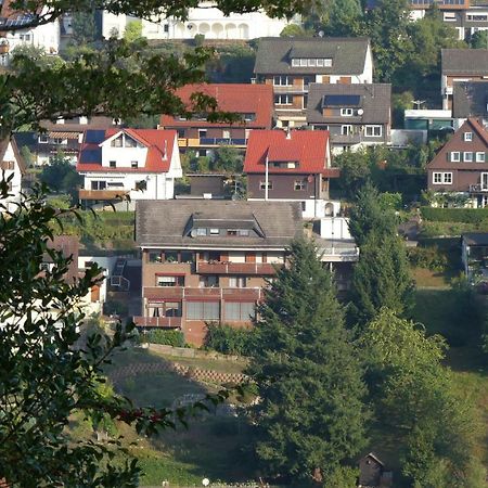 Апартаменты Haus Krick Альпирсбах Экстерьер фото
